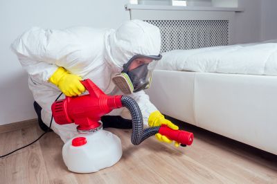 Odor Removal